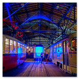 Museumsnacht Halle/Leipzig 2024